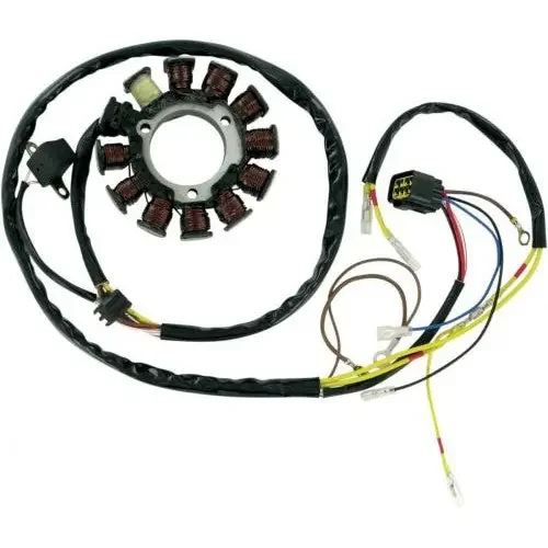 12 Pole Stator for Polaris Sportsman 400 4×4 2003-2004 Ricks