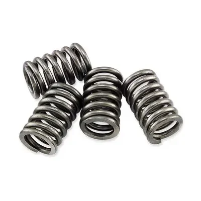EBC Honda CBR600 F1/F Hurricane 87-89 CSK Clutch Spring Kit