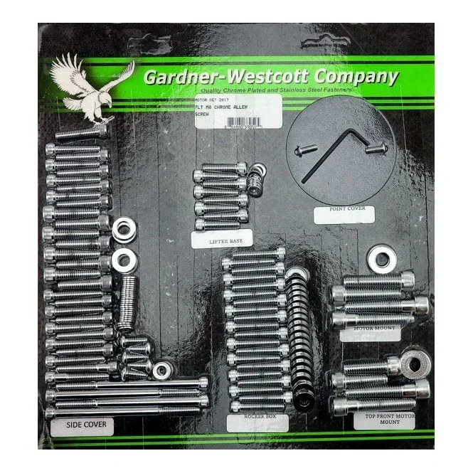 GW motor screw kit. Chrome 17-21 Touring
