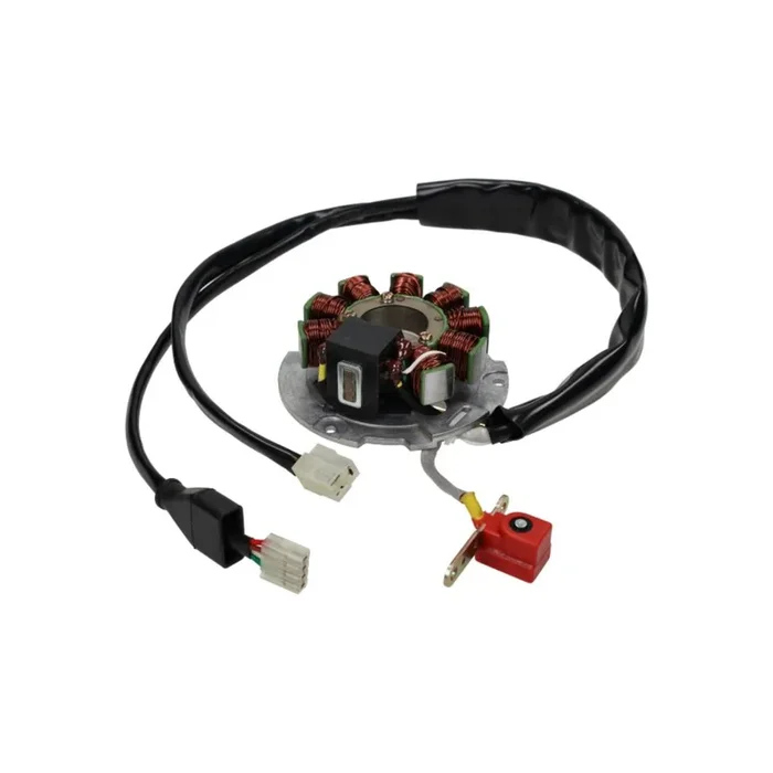 Inflammation Piaggio Skipper/Typhoon/Runner 125-180cc AC/LC BGM