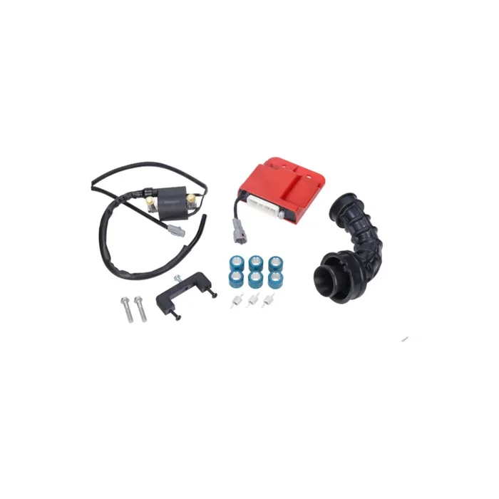 Naraku ECU units set Fast Piaggio / Vespa Euro 4 Iget